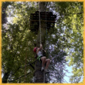 Die 7b, 8d und 9a: Hoch hinaus im Kletterwald