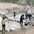 Die 5c hatte keinen großen Fisch an der Angel